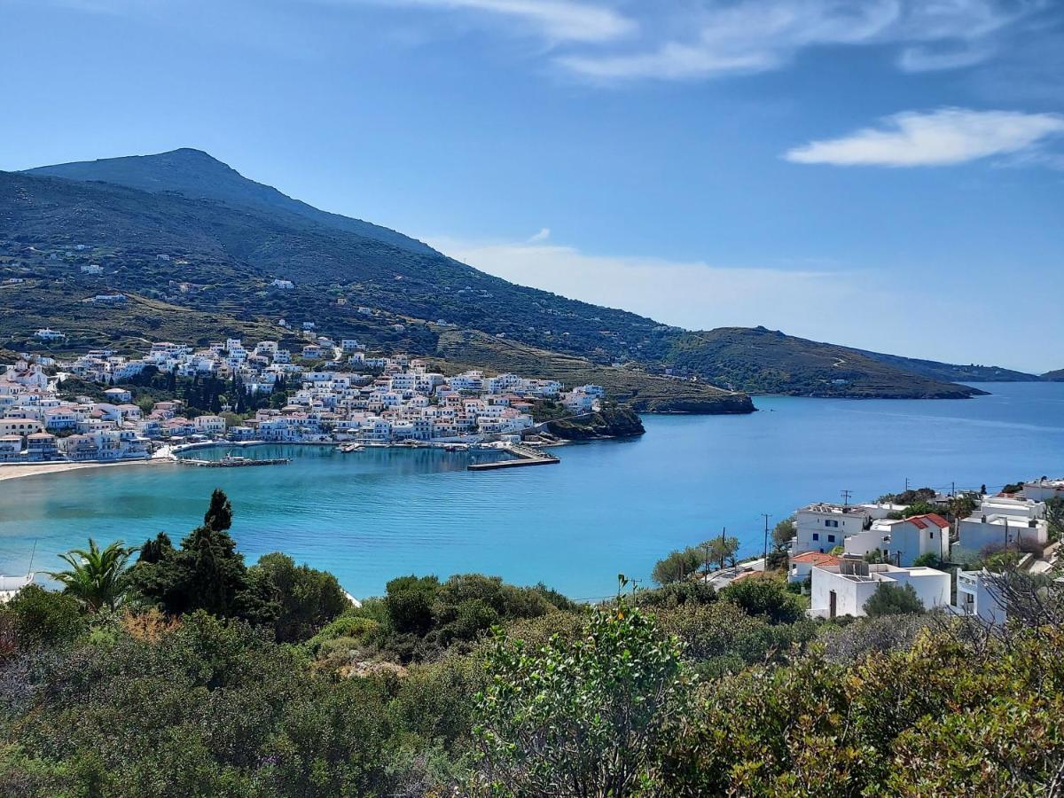 Villa Arni Andros - Βίλα Αρνη Batsi  Exterior foto