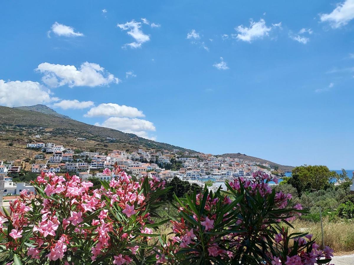 Villa Arni Andros - Βίλα Αρνη Batsi  Exterior foto