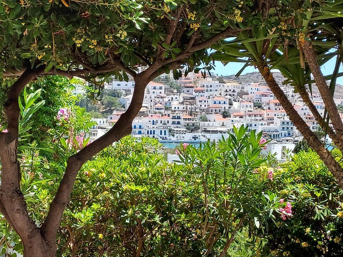 Villa Arni Andros - Βίλα Αρνη Batsi  Exterior foto