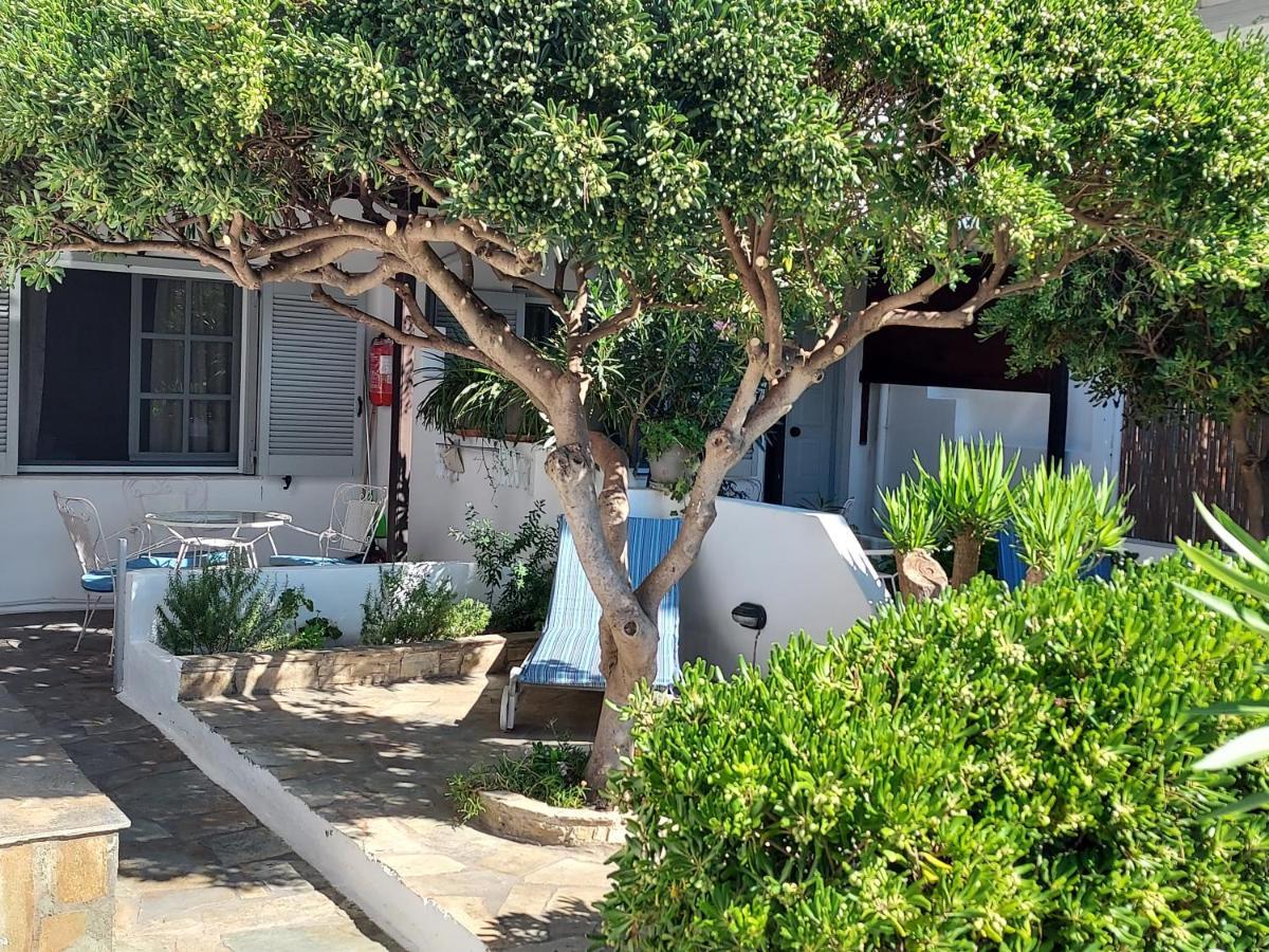 Villa Arni Andros - Βίλα Αρνη Batsi  Exterior foto