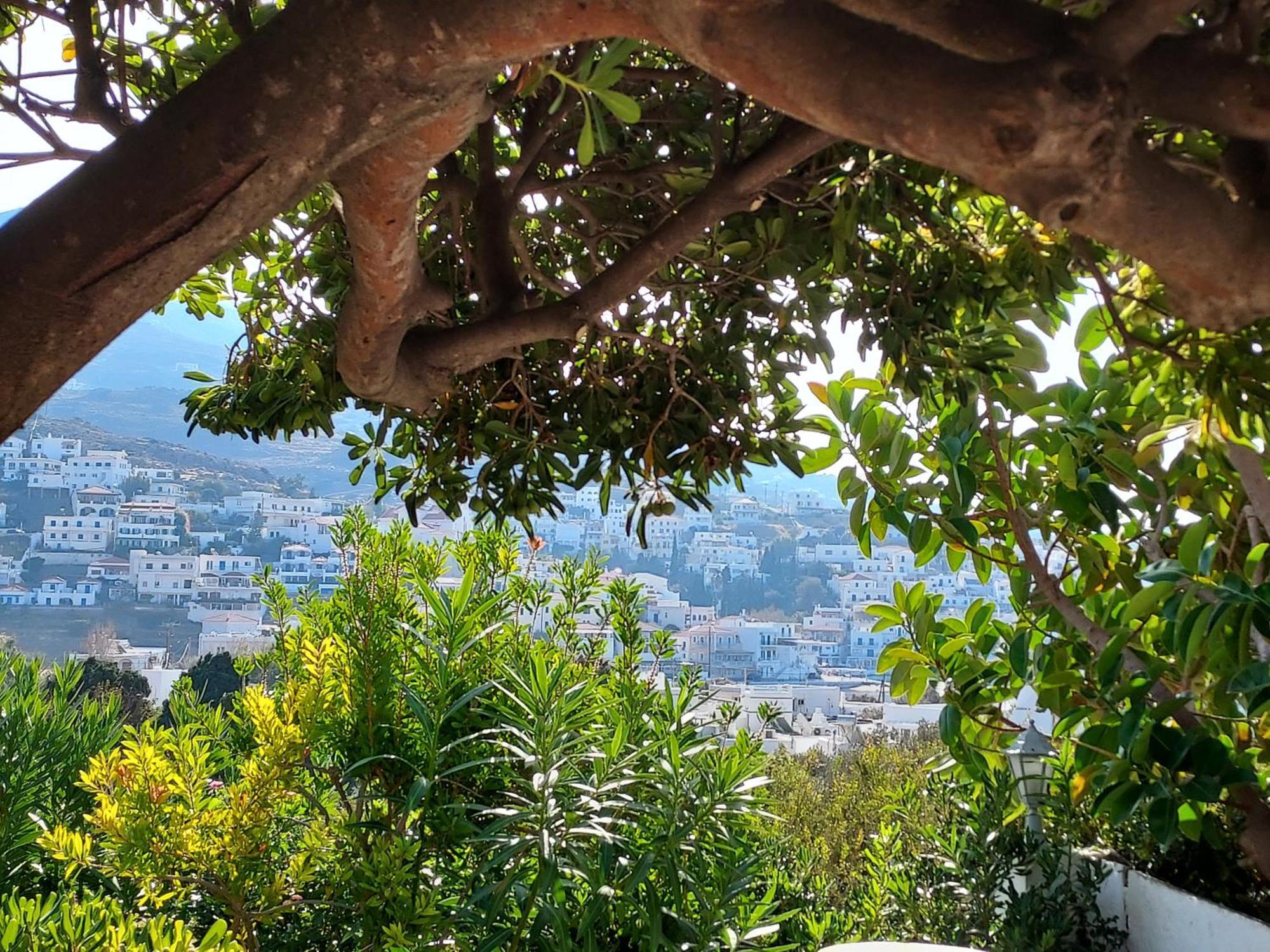 Villa Arni Andros - Βίλα Αρνη Batsi  Quarto foto