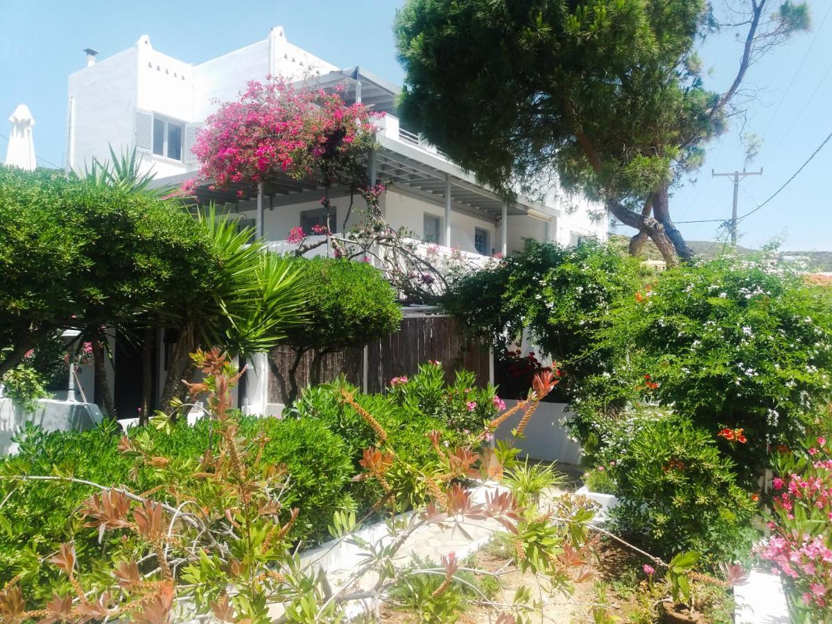 Villa Arni Andros - Βίλα Αρνη Batsi  Exterior foto